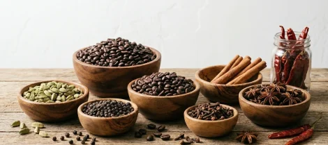 Gemini_Generated_Image_2y37ce2y37ce2y37